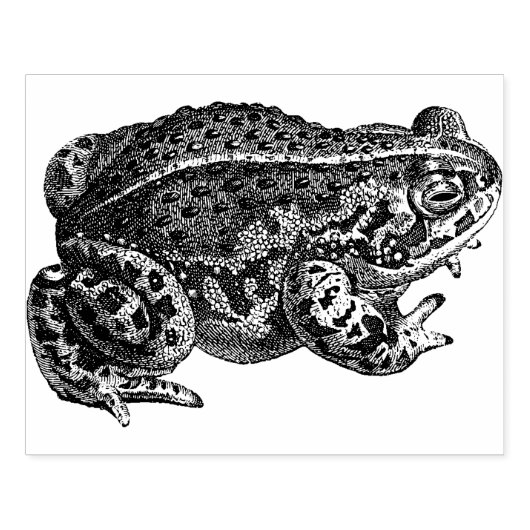 Große Froschgummi-Briefmarke Gummistempel (Prägung)