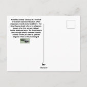 Große geflochtene Sumpfpostkarte Postkarte (Rückseite)