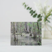 Große geflochtene Sumpfpostkarte Postkarte (Stehend Vorderseite)