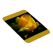 Große gelbe Rose Magnet (Rechte Seite)
