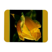 Große gelbe Rose Magnet (Horizontal)
