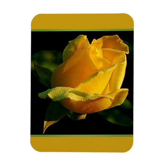 Große gelbe Rose Magnet (Vertikal)
