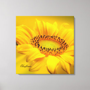 Große gelbe Sonnenblume auf gespannter Leinwand