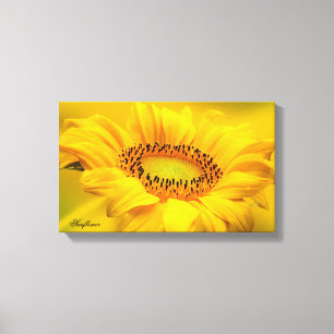 Große gelbe Sonnenblume auf gespannter Leinwand