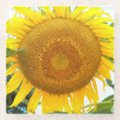 Große gelbe Sonnenblume Blütenblume Glasuntersetzer (Vorderseite)