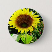 Große gelbe Sonnenblume Button (Vorderseite)
