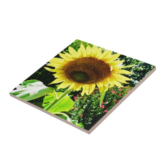 Große gelbe Sonnenblume Fliese (Seite)