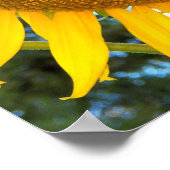 Große gelbe Sonnenblume Floral Poster (Ecke)