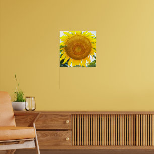 Große gelbe Sonnenblume Floral Poster