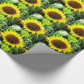 Große gelbe Sonnenblume Geschenkpapier (Ecke)