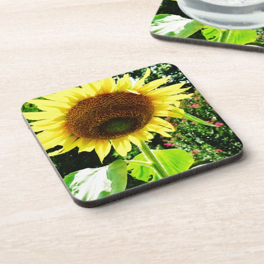 Große gelbe Sonnenblume Getränkeuntersetzer (Linke Seite)