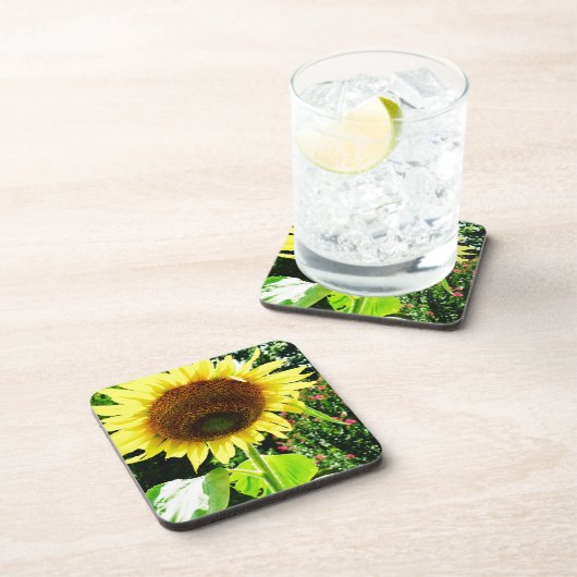 Große gelbe Sonnenblume Getränkeuntersetzer (Rechte Seite)
