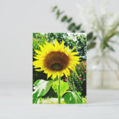 Große gelbe Sonnenblume Postkarte (Stehend Vorderseite)
