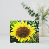 Große gelbe Sonnenblume Postkarte (Stehend Vorderseite)