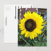 Große Gelbe Sonnenblume Postkarte (Vorne/Hinten)