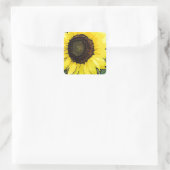 Große gelbe Sonnenblume Quadratischer Aufkleber (Tasche)
