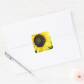 Große gelbe Sonnenblume Quadratischer Aufkleber (Umschlag)