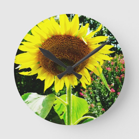 Große gelbe Sonnenblume Runde Wanduhr (Vorderseite)