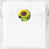 Große gelbe Sonnenblume Runder Aufkleber (Tasche)