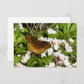 Große geschwungene Fritille auf dem Berg Laurel (Vorne/Hinten)