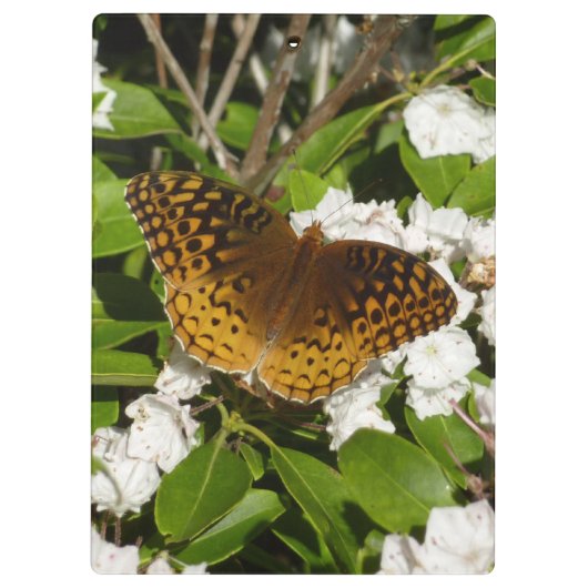 Große geschwungene Fritille auf dem Berg Laurel Klemmbrett (Rückseite)