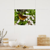 Große geschwungene Fritille auf dem Berg Laurel Poster (Küche)