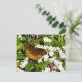 Große geschwungene Fritille auf dem Berg Laurel Postkarte (Stehend Vorderseite)