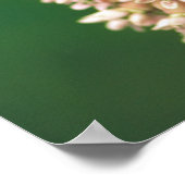 Große geschwungene Schmetterlinge Poster (Ecke)