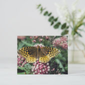 Große geschwungene Schmetterlinge Postkarte (Stehend Vorderseite)