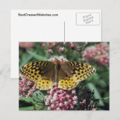 Große geschwungene Schmetterlinge Postkarte (Vorne/Hinten)