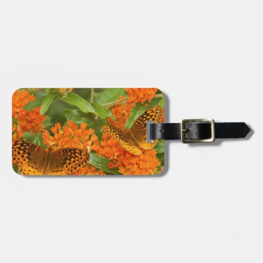 Große, gesprenkelte Fritillen auf Schmetterling-Mi Gepäckanhänger (Vorderseite horizontal)
