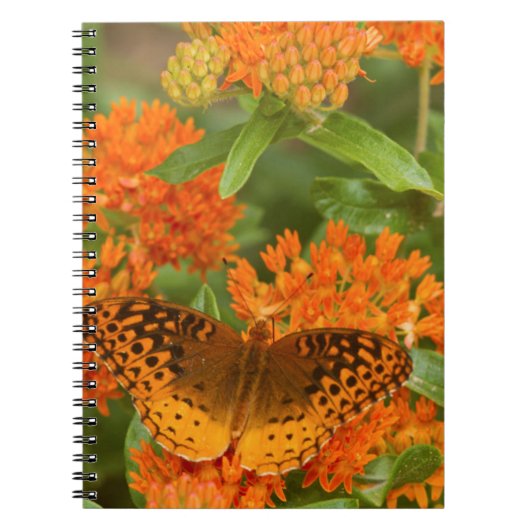 Große, gesprenkelte Fritillen auf Schmetterling-Mi Notizblock (Vorderseite)
