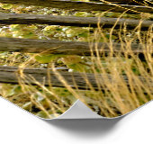 Große Goldgräser in Frankreich Poster (Ecke)