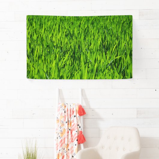 Große Grasblätter Banner (Insitu)