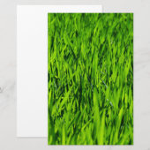 Große Grasblätter Briefpapier (Vorne/Hinten)