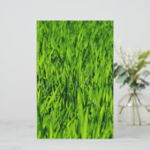 Große Grasblätter Briefpapier (Stehend Vorderseite)