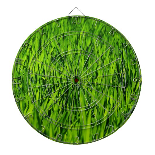 Große Grasblätter Dartscheibe (vorne)