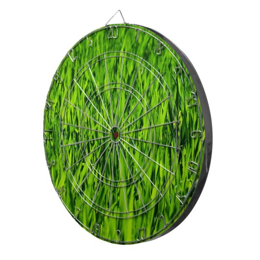 Große Grasblätter Dartscheibe (Vorderseite rechts)