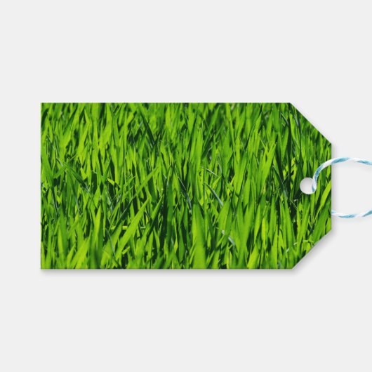 Große Grasblätter Geschenkanhänger (Vorderseite (Horizontal))