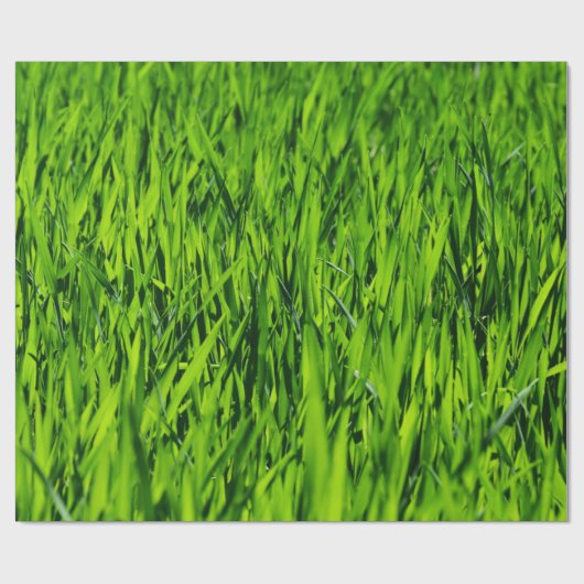 Große Grasblätter Geschenkpapier (Flach)