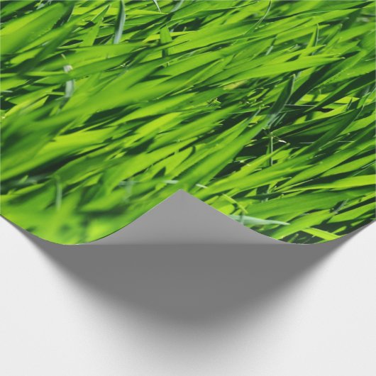 Große Grasblätter Geschenkpapier (Ecke)