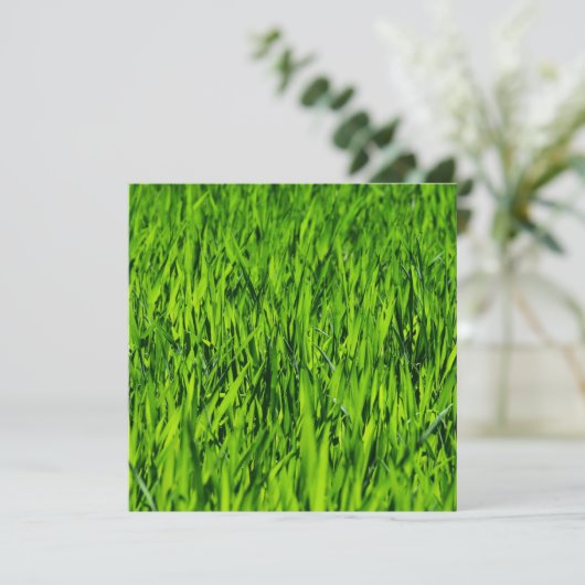 Große Grasblätter Karte (Stehend Vorderseite)