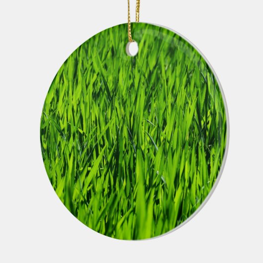 Große Grasblätter Keramik Ornament (Links)