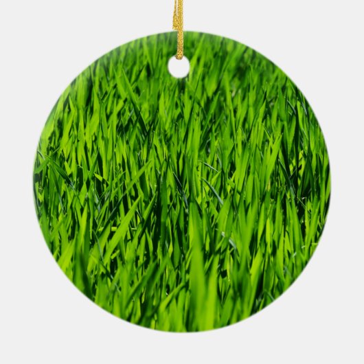 Große Grasblätter Keramik Ornament (Hinten)