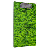 Große Grasblätter Klemmbrett (Rechts)