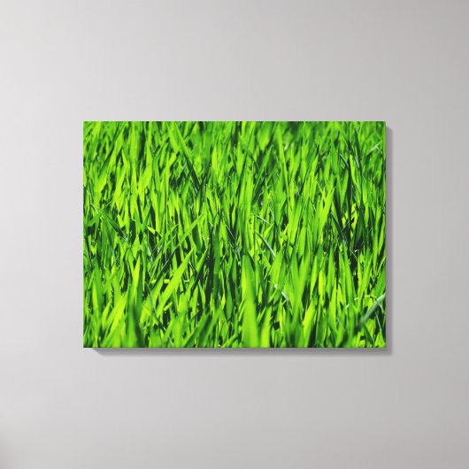 Große Grasblätter Leinwanddruck (Vorderseite)