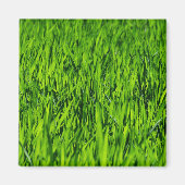 Große Grasblätter Magnet (Vorne)