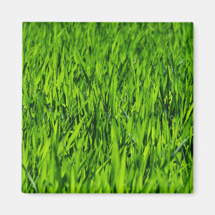 Große Grasblätter Magnet