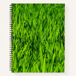 Große Grasblätter Notizblock