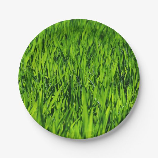 Große Grasblätter Pappteller (Vorderseite)